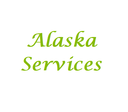 Alaska Services Mosquito Net