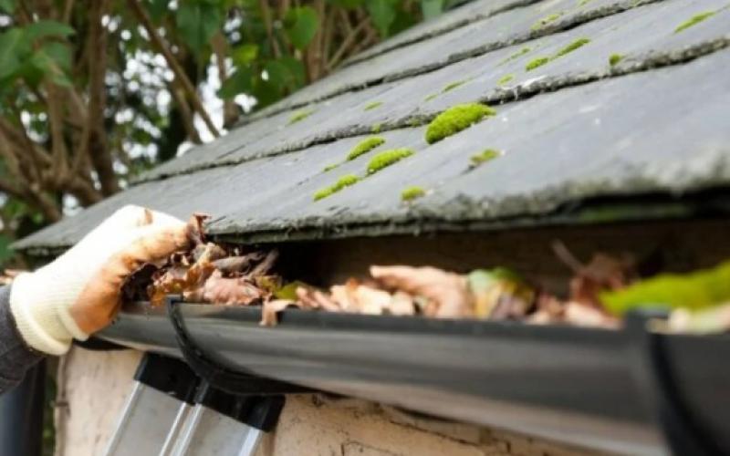 Gutter Cleaning Services North Texas: Protect Your Home From Water Damage